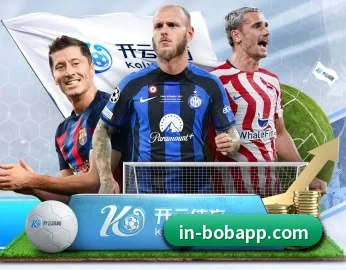 BOB体育 APP